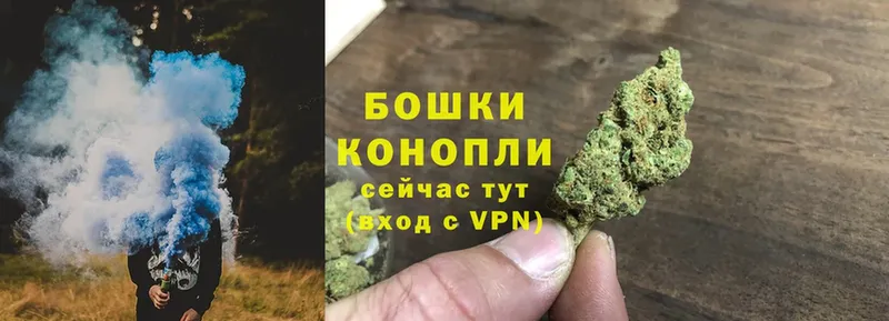 Конопля Bruce Banner  Балтийск 